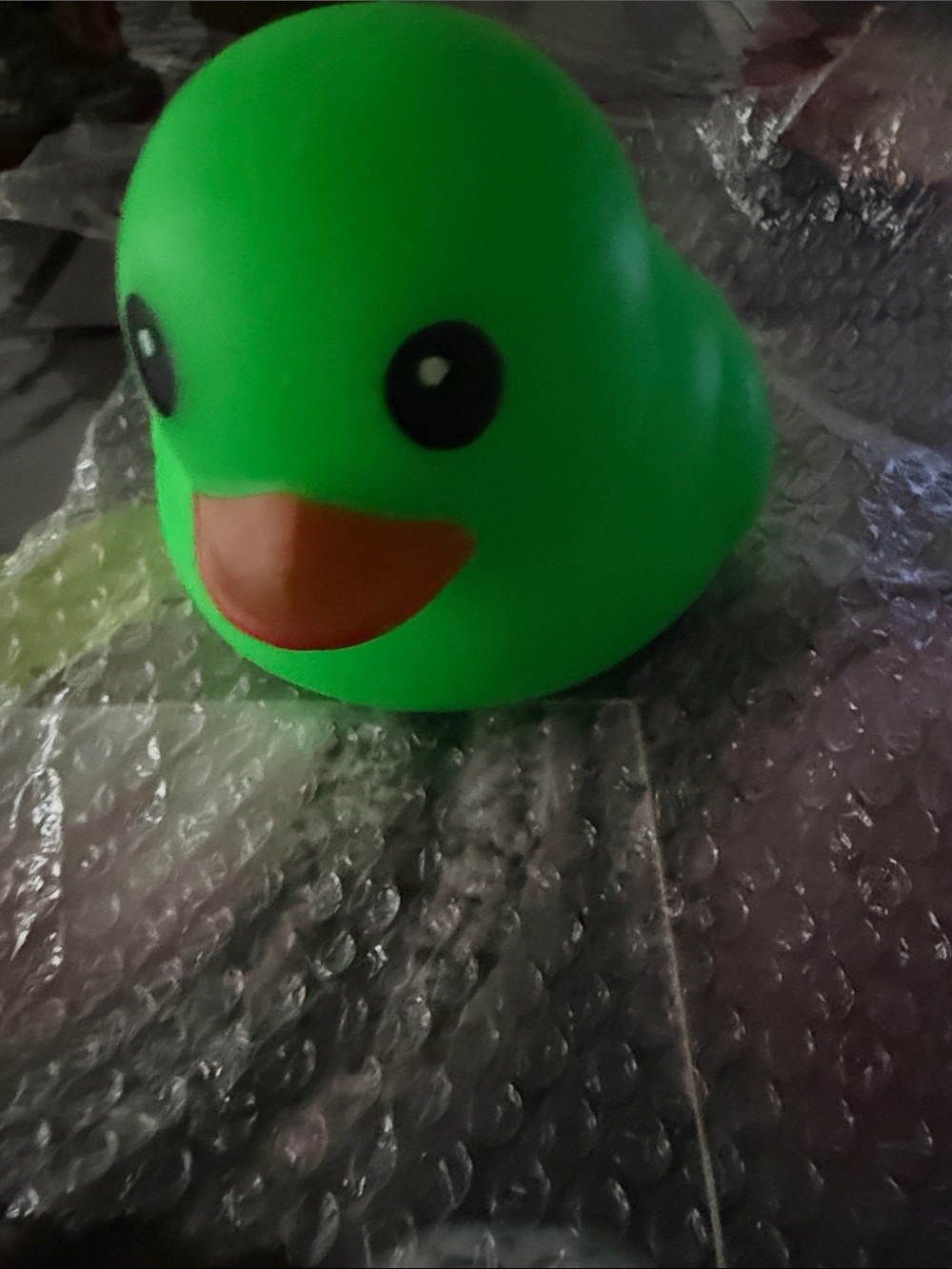 Squishy green duck
